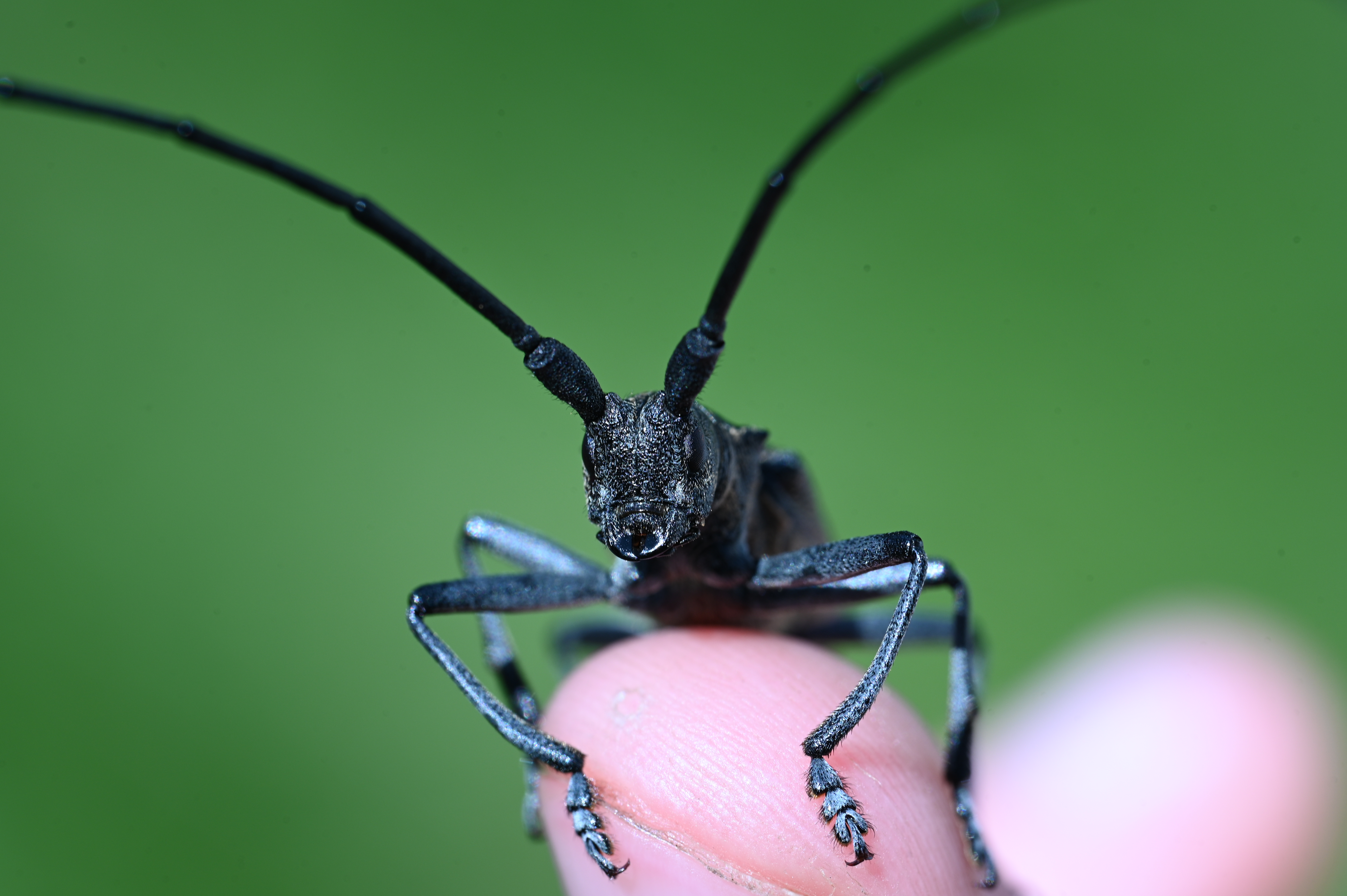 2025/07/09-14 - trip/DSC_0141.JPG